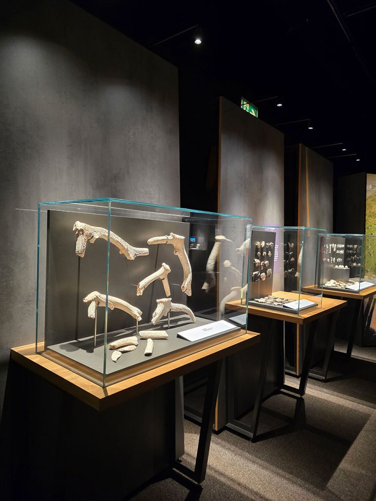 Royal BC Museum Heslaa tours victoria