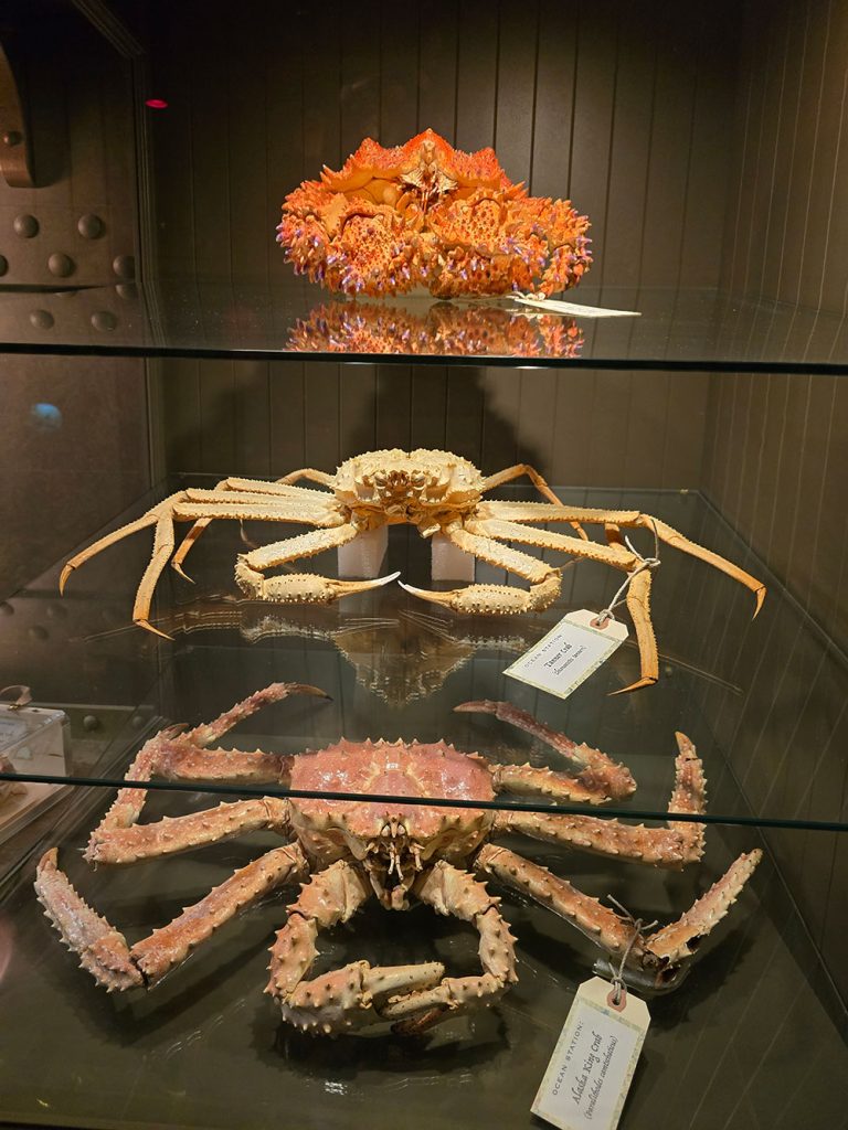 Royal BC Museum Heslaa tours victoria