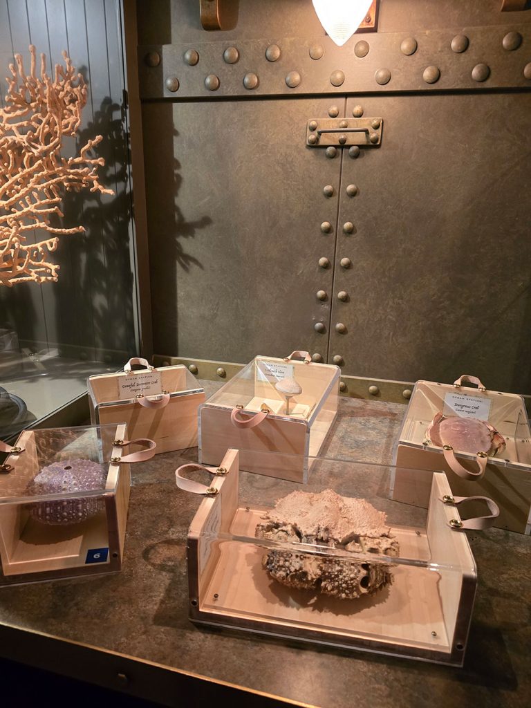 Royal BC Museum Heslaa tours victoria