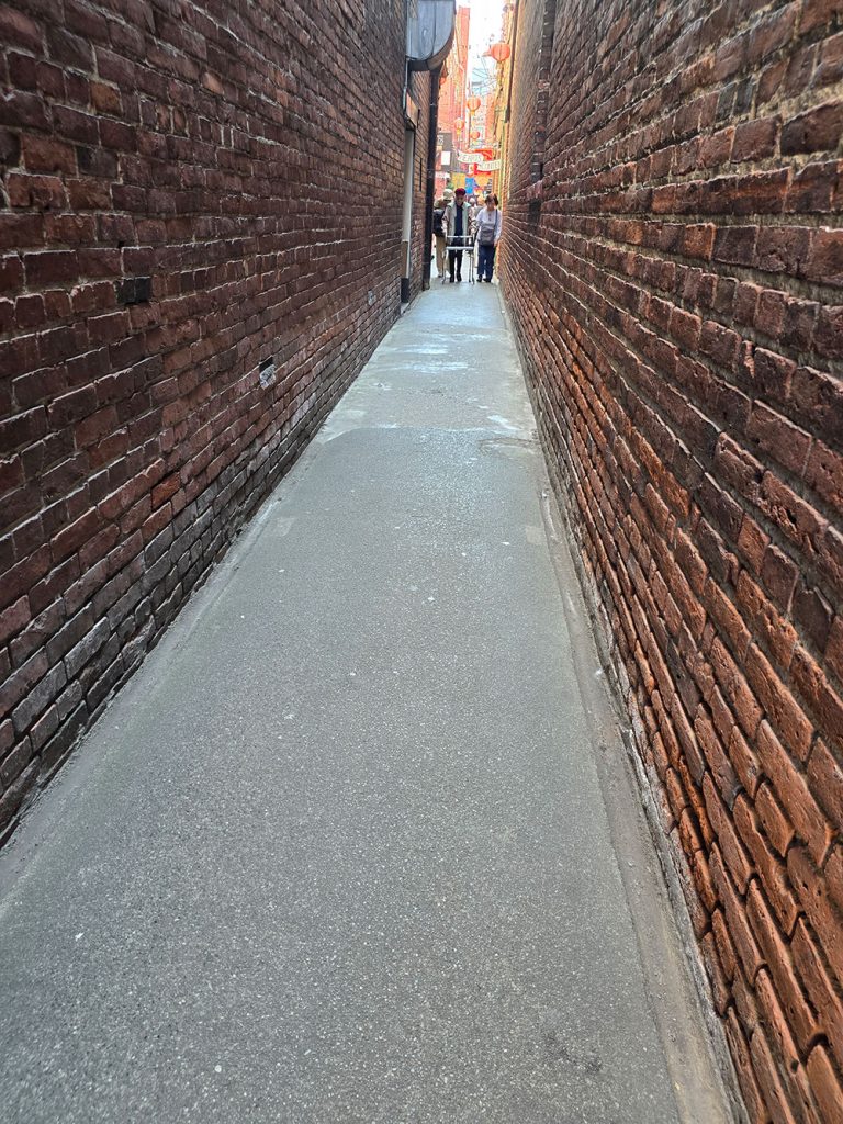 Fan tan alley Heslaa victoria tours